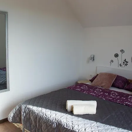 Kraljeva Hiza - Apartmani I Sobe Kralj Sveti Martin Na Muri Exterior photo