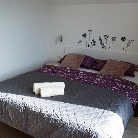 Kraljeva Hiza - Apartmani I Sobe Kralj Sveti Martin Na Muri Exterior photo